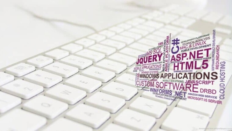 Software Development